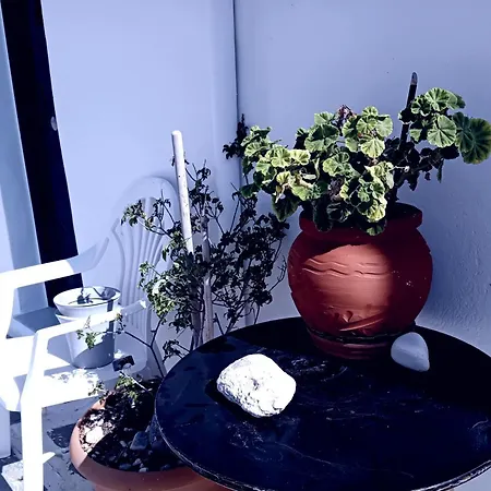 Seaview Apartment